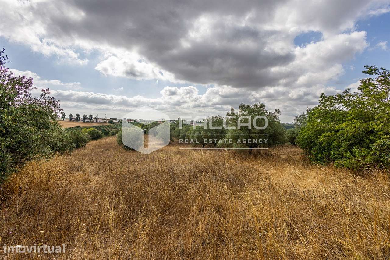 Terreno Misto  Venda em Abitureiras,Santarém - Grande imagem: 4/27