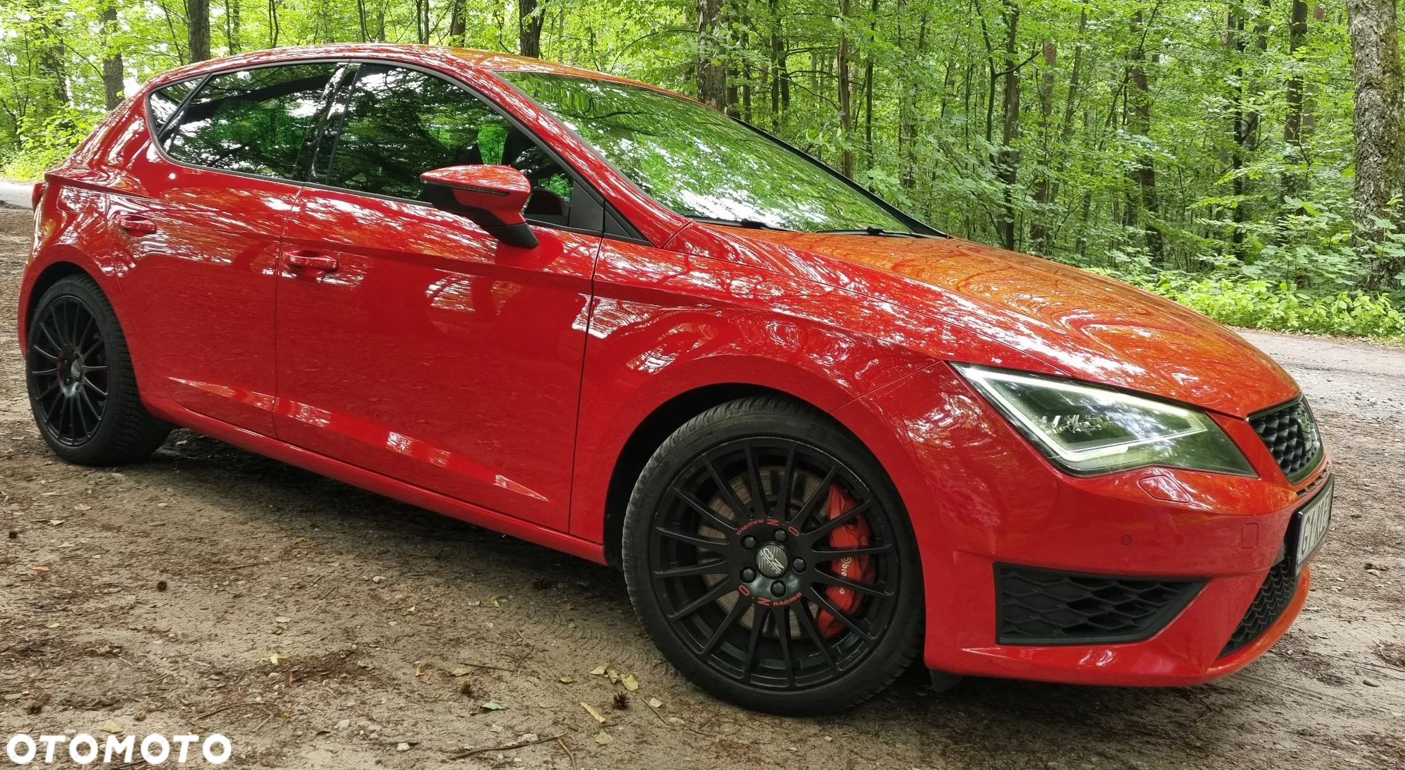 Seat Leon 2.0 TSI Cupra S&S DSG - 13