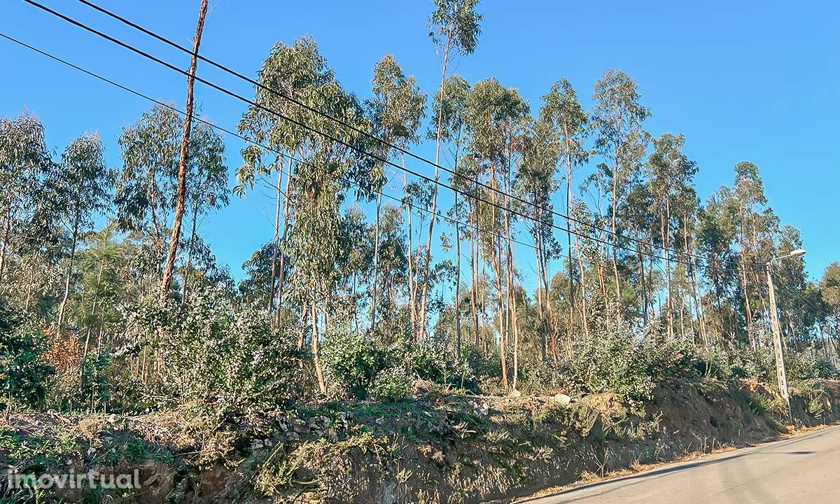 Terreno 12.000m² - Grimancelos - Grande imagem: 5/8