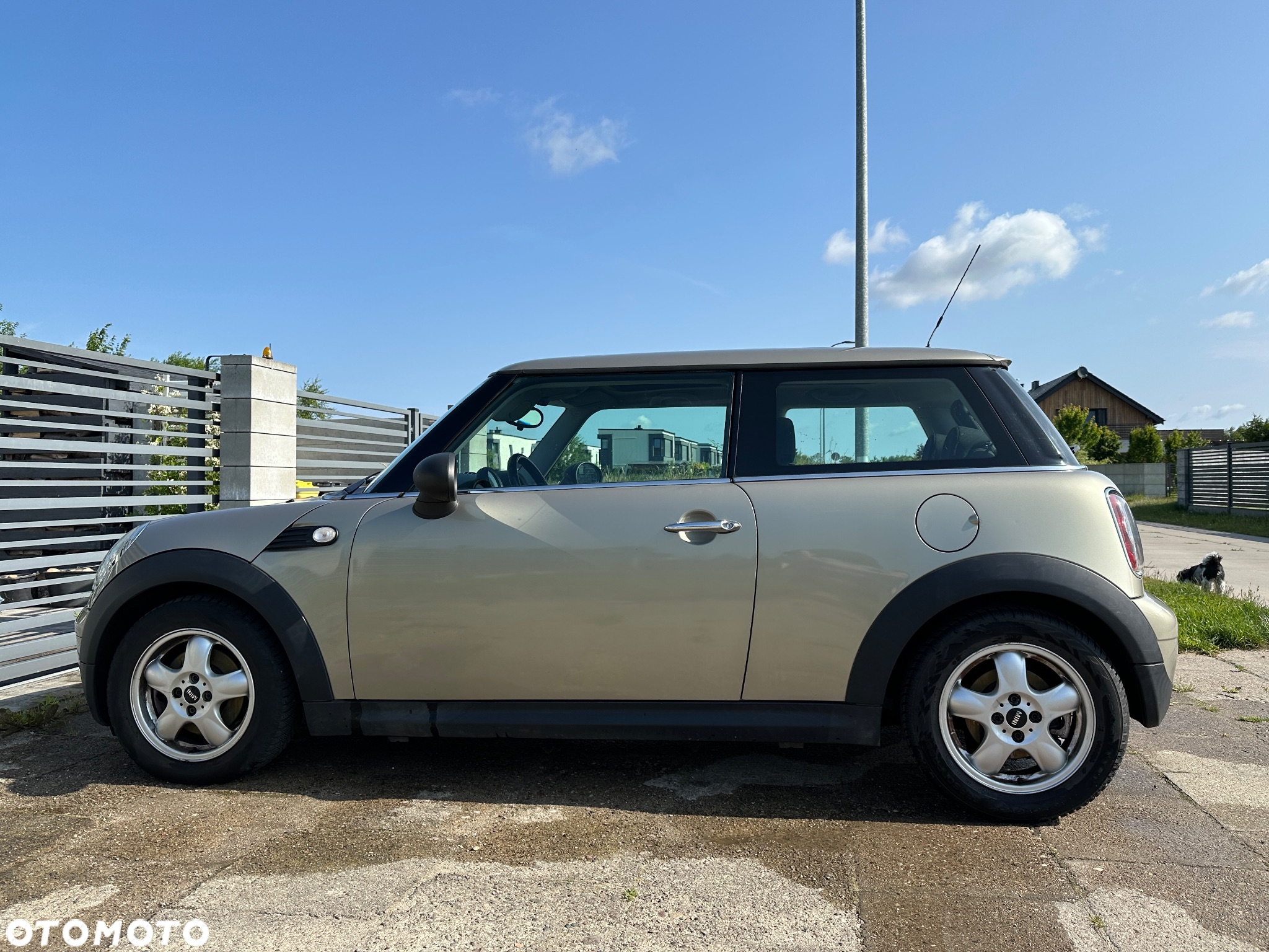 MINI ONE Standard - 7