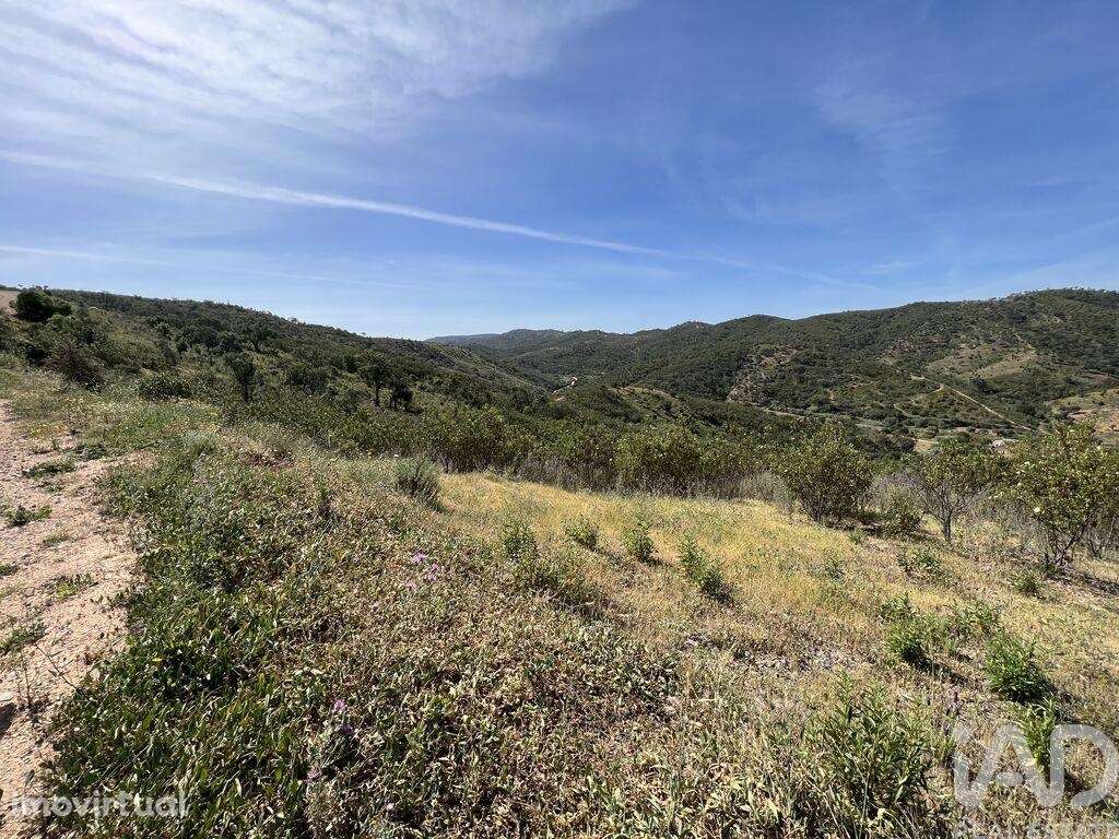 Terreno em Alte de 21390,00 m2 - Grande imagem: 3/11