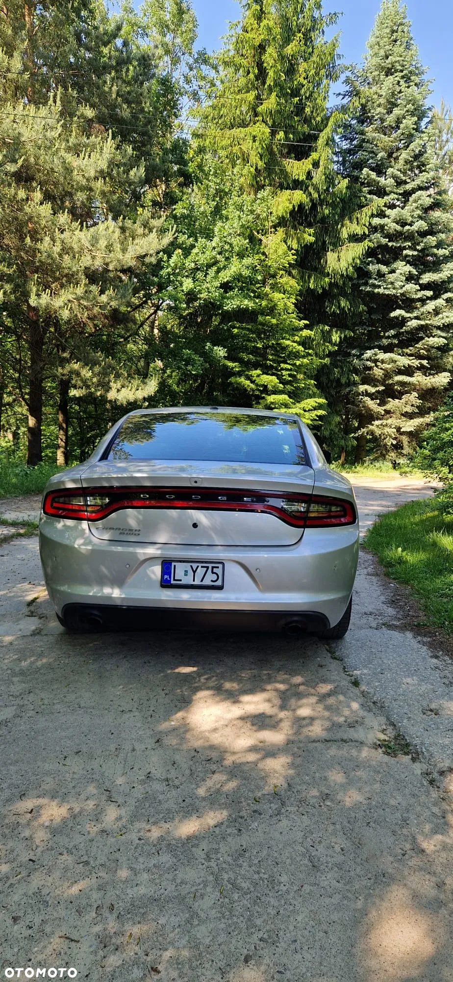 Dodge Charger - 8