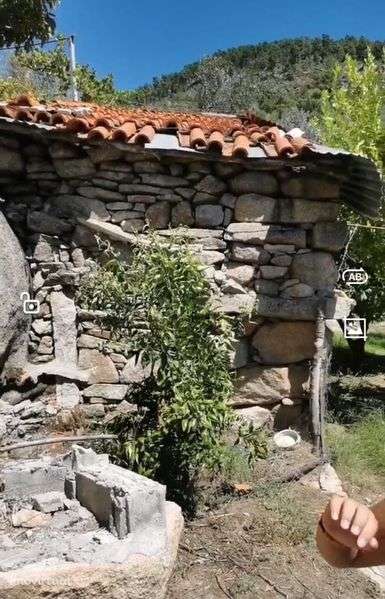 Pequena quinta 14650m2 tabuaço - Grande imagem: 3/7