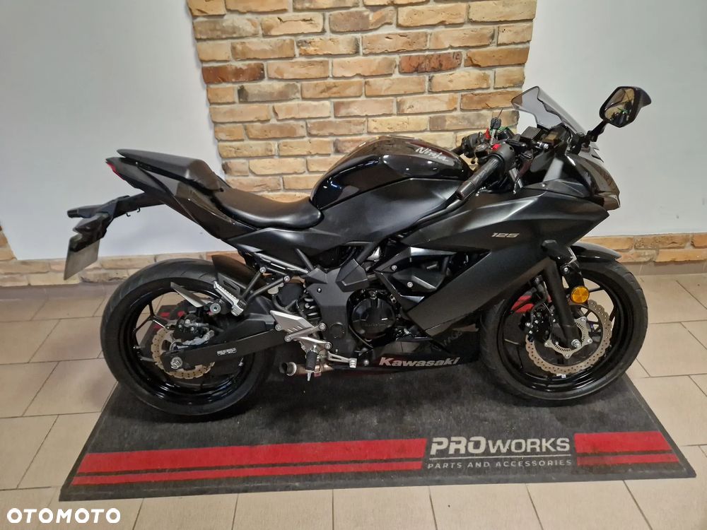 Kawasaki Ninja - 4