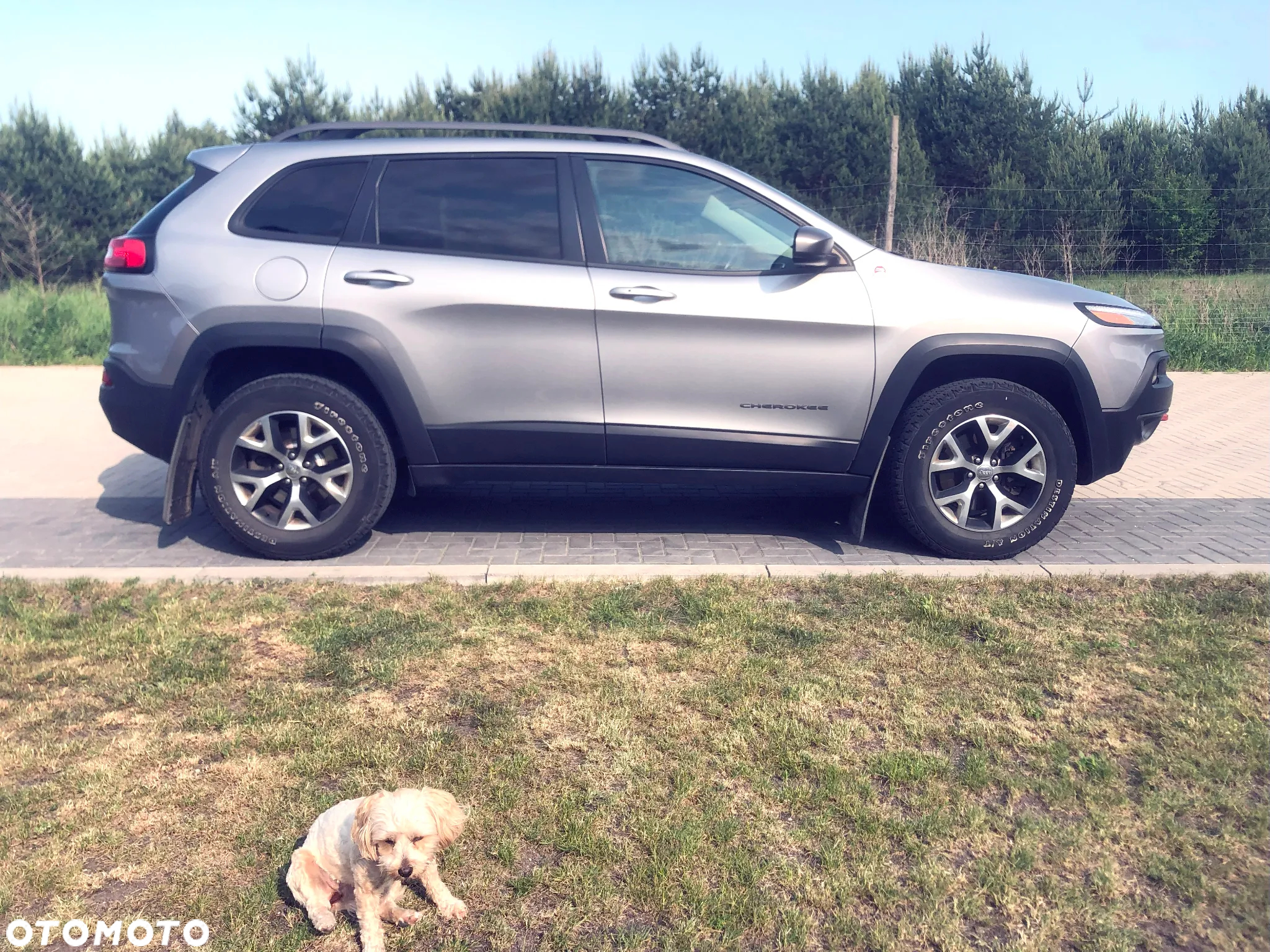Jeep Cherokee 3.2 V6 Active Drive Lock Trailhawk - 5