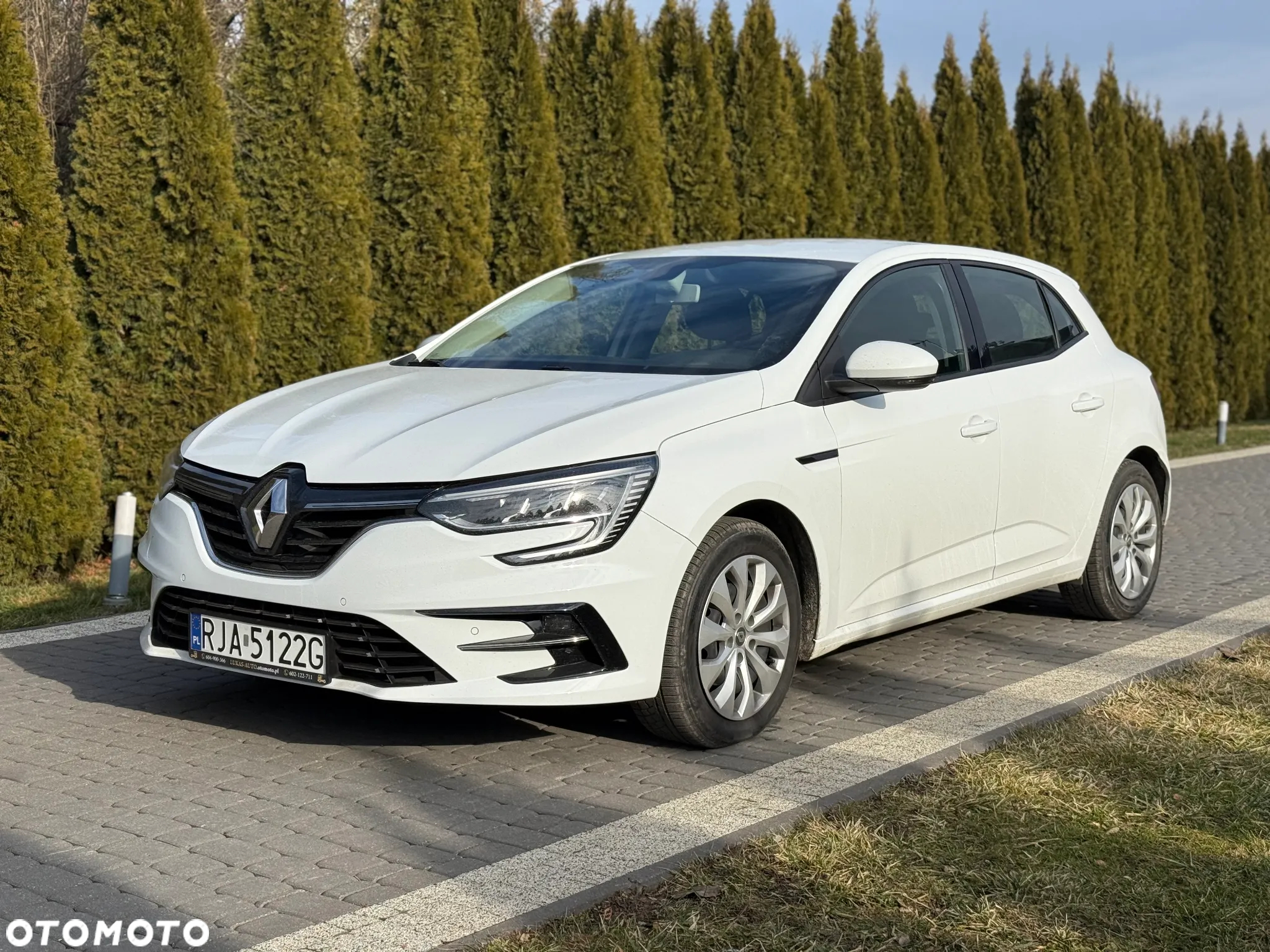 Renault Megane 1.5 Blue dCi Business - 2