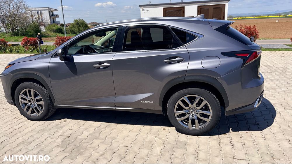 Lexus Seria NX 300h AWD Luxury - 6