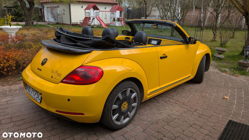 Volkswagen Beetle - 4