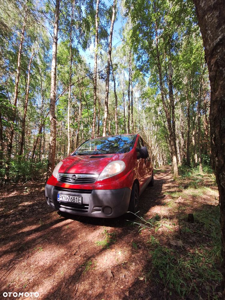Opel Vivaro - 29