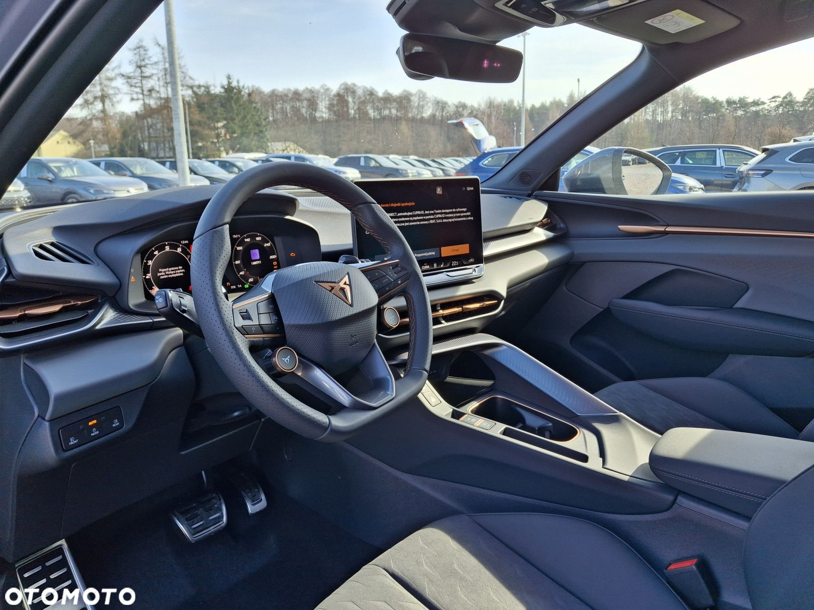Cupra Terramar - 11