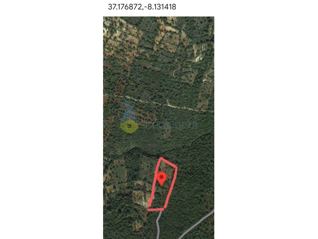 2 Terrenos fértis em zona rural, para agricultura, projeto floresta... - Grande imagem: 5/6