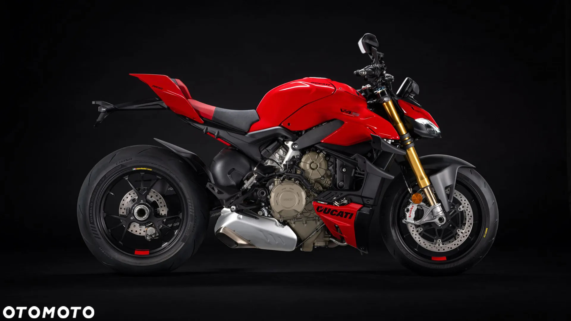 Ducati Streetfighter V4 - 10