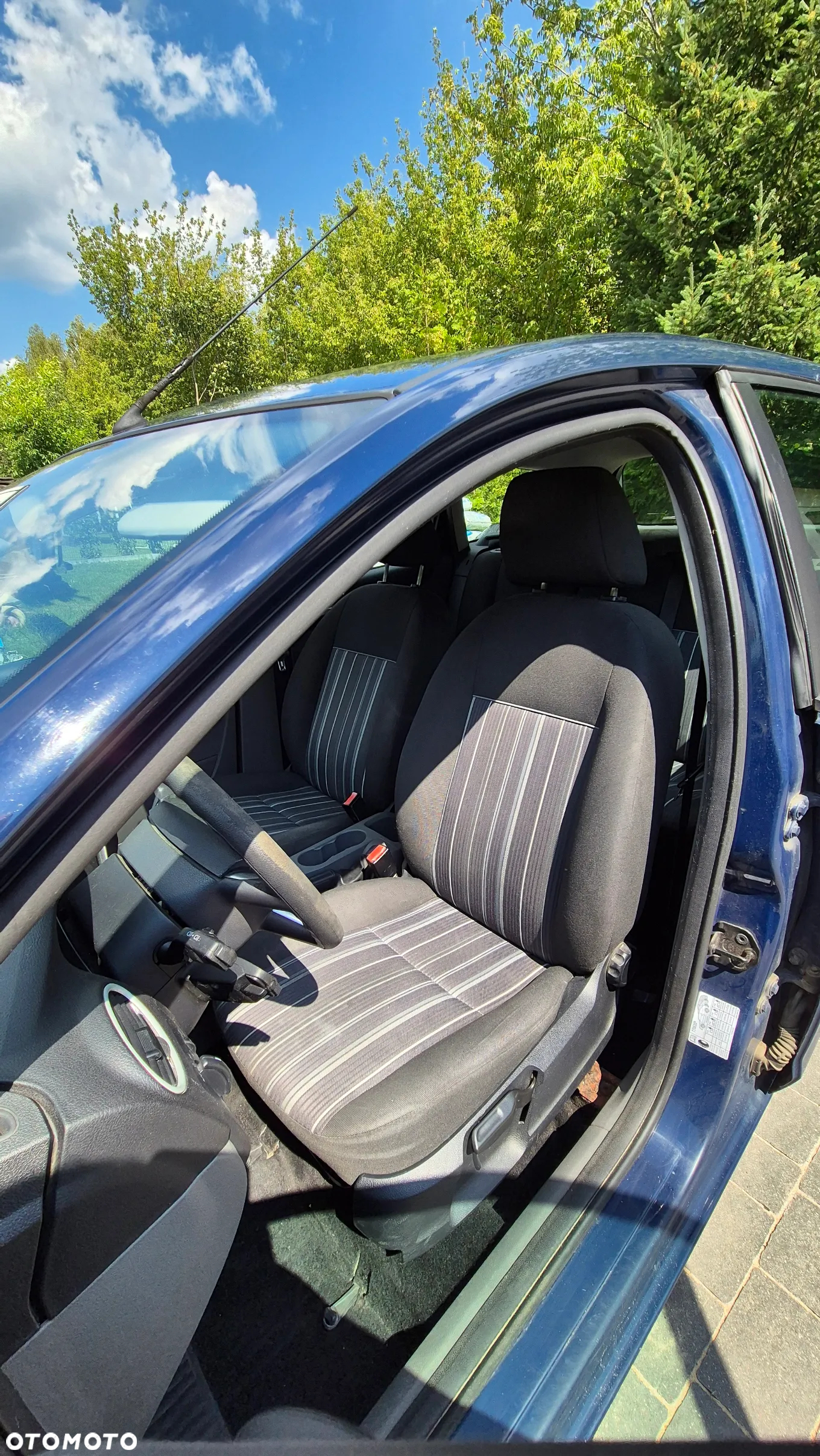 Ford Focus - 8