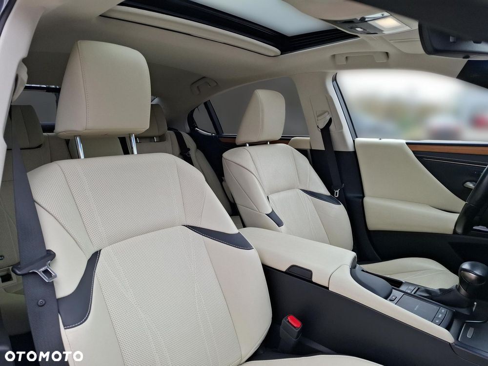 Lexus ES 300h Omotenashi - 15
