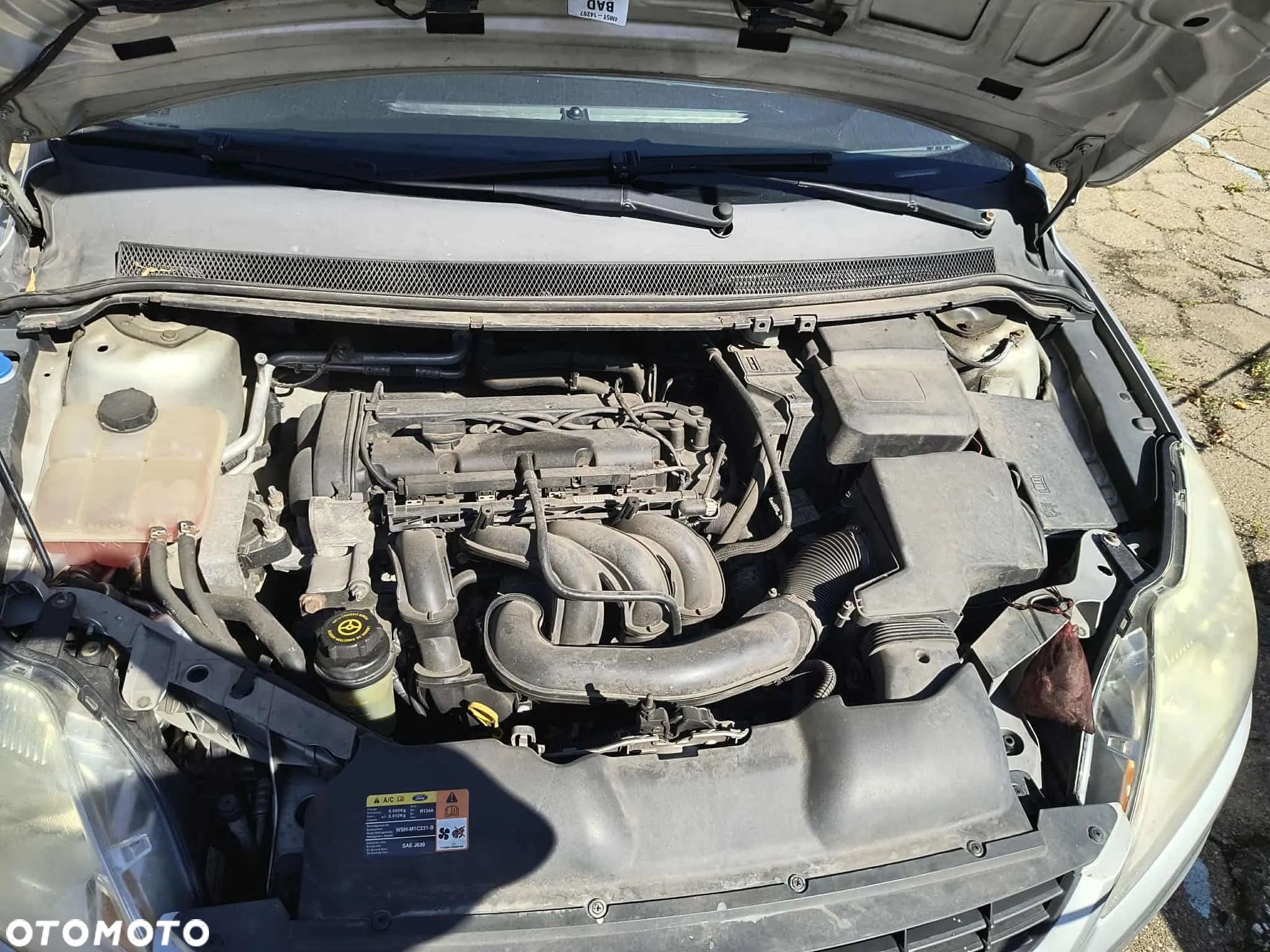 Ford Focus - 11