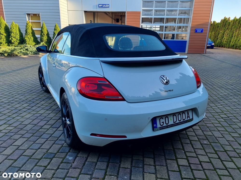 Volkswagen Beetle - 6