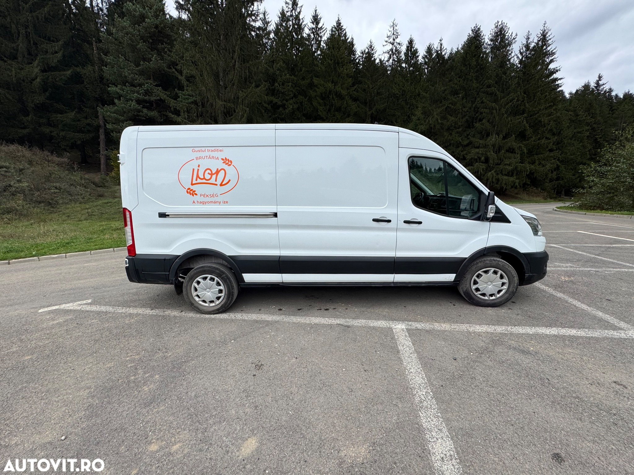 Ford Transit - 2