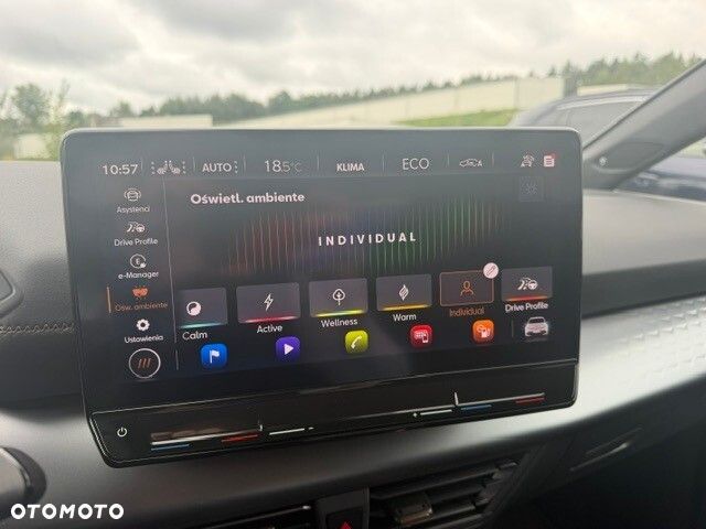 Cupra Born - 18