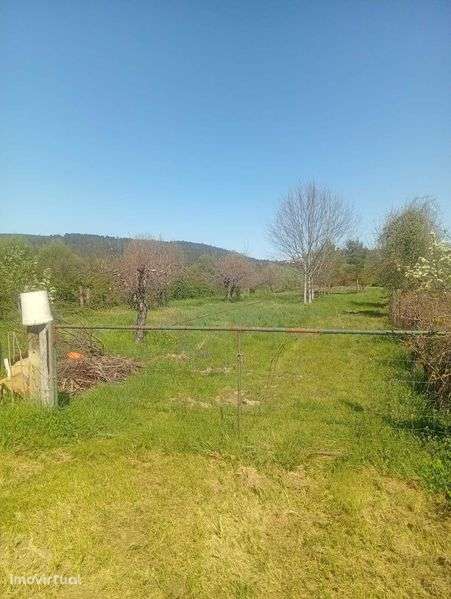 Terreno Rústico 2600m2 com anexo - Grande imagem: 5/9