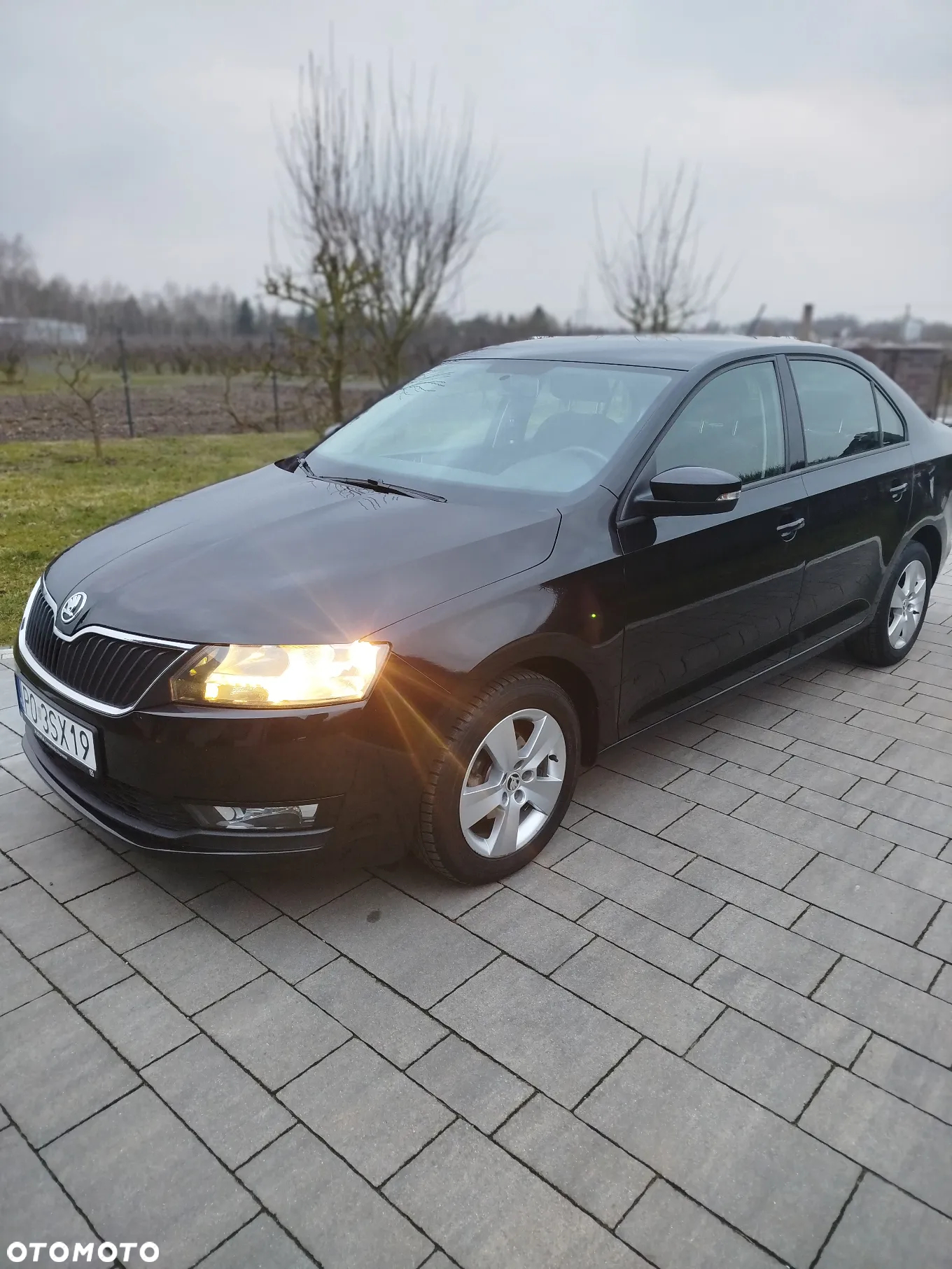Skoda RAPID 1.0 TSI Ambition - 4