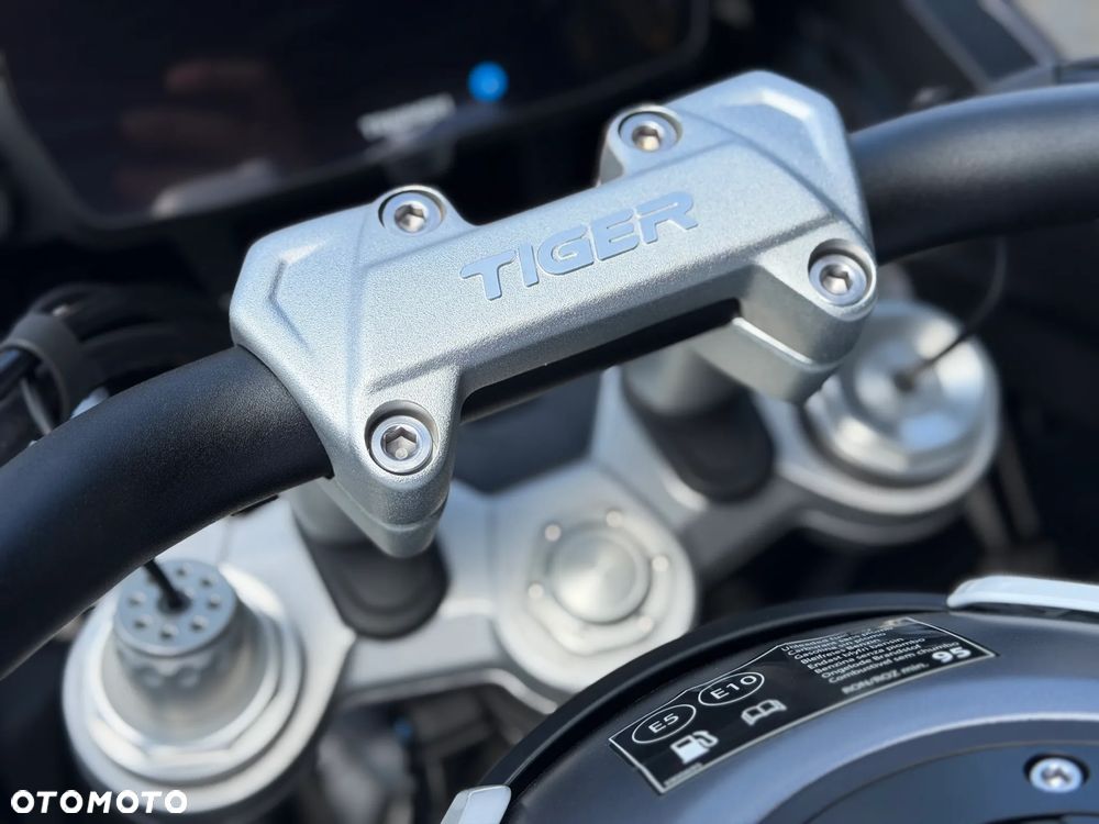 Triumph Tiger - 18