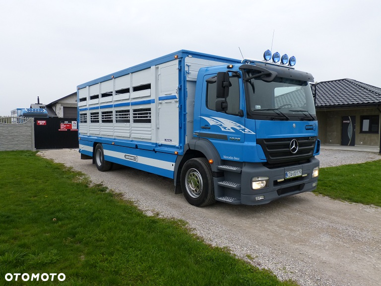 Mercedes-Benz AXOR 1829 DO ŻYWCA / ZWIERZĄT / BYDŁA Z WAGĄ / SUPER STAN / EURO 5 / DŁ. 7.50 M / CAŁY NA PODUSZKACH / DMC 18T!! - 8