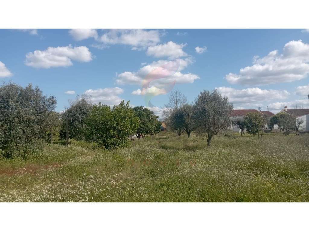 Terreno para construção - Grande imagem: 5/16