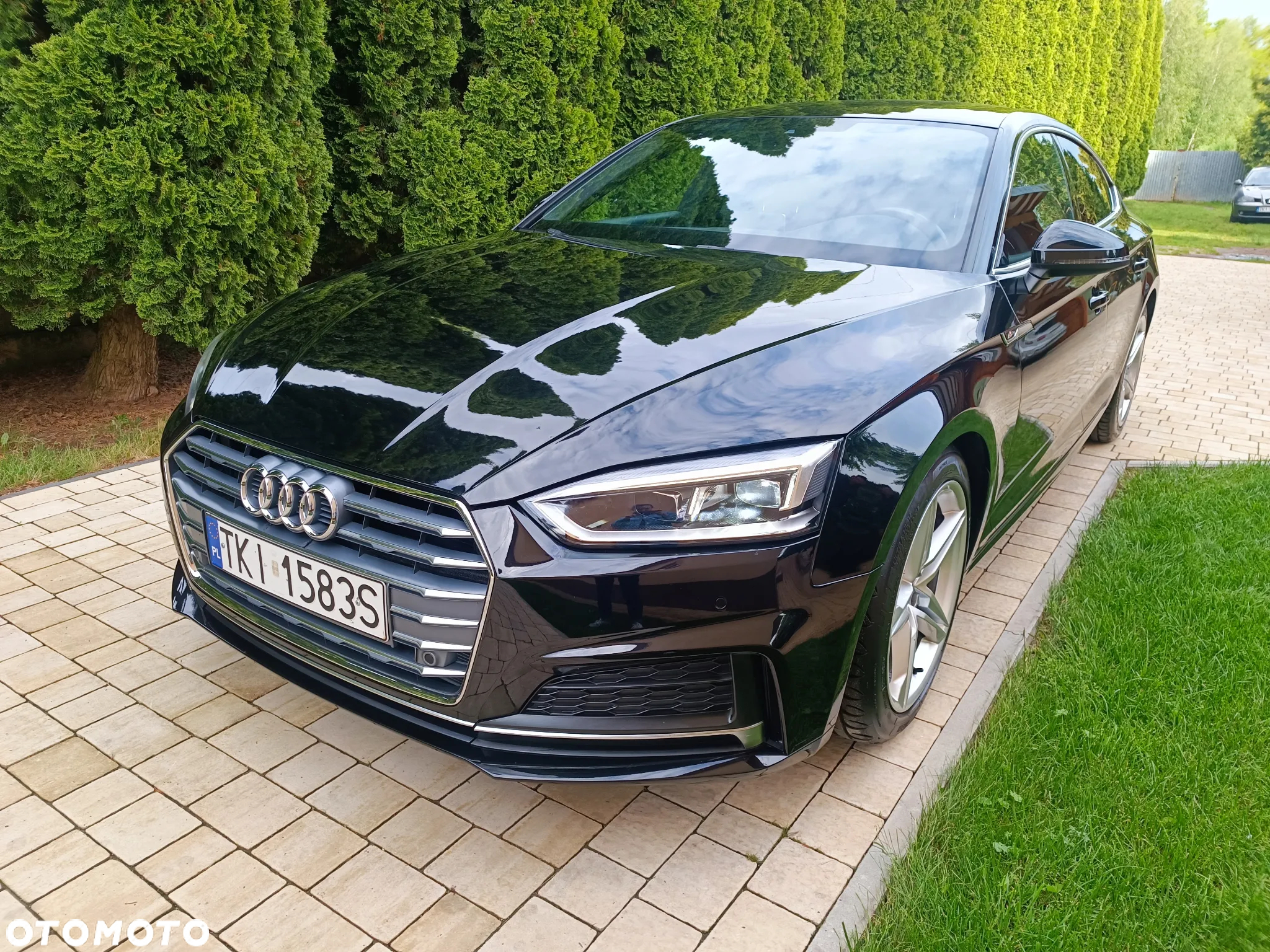 Audi A5 2.0 TDI Sport S tronic - 2