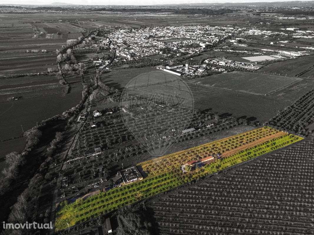 Quinta T3 para venda - Grande imagem: 2/38