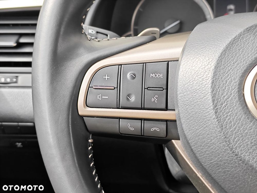 Lexus RX 300 Prestige - 28