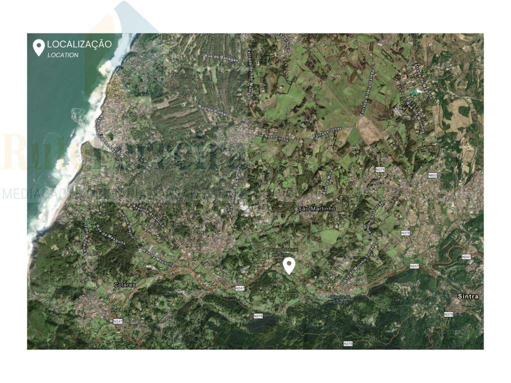 Um Refúgio Natural no Coração de Sintra - Grande imagem: 2/7