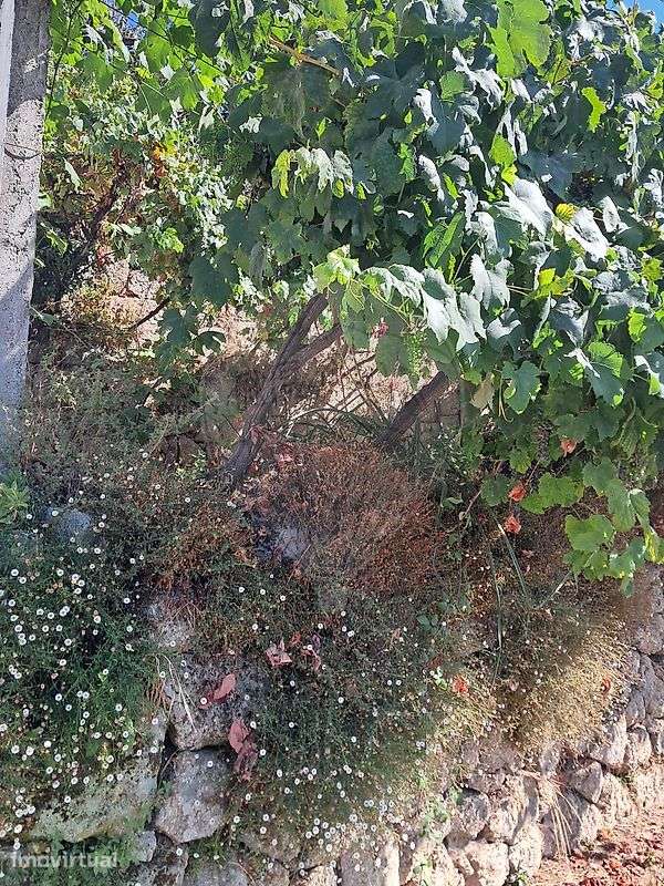 Terreno  para venda - Grande imagem: 3/7