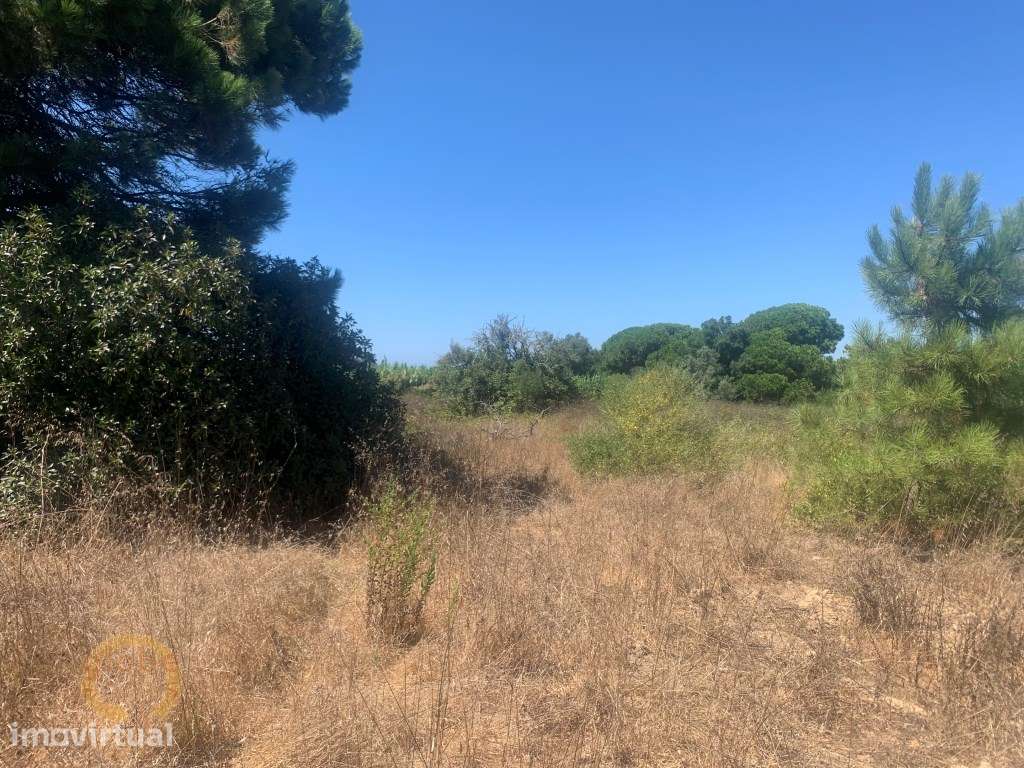 Terreno perto da Praia da Foz - Grande imagem: 5/7