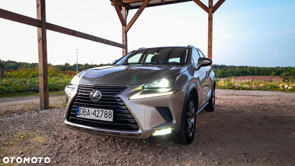 Lexus NX 300 Optimum AWD - 2