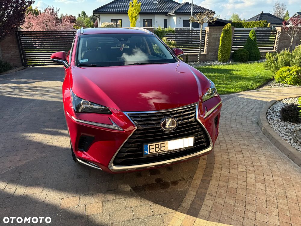 Lexus NX 300h Comfort AWD - 5