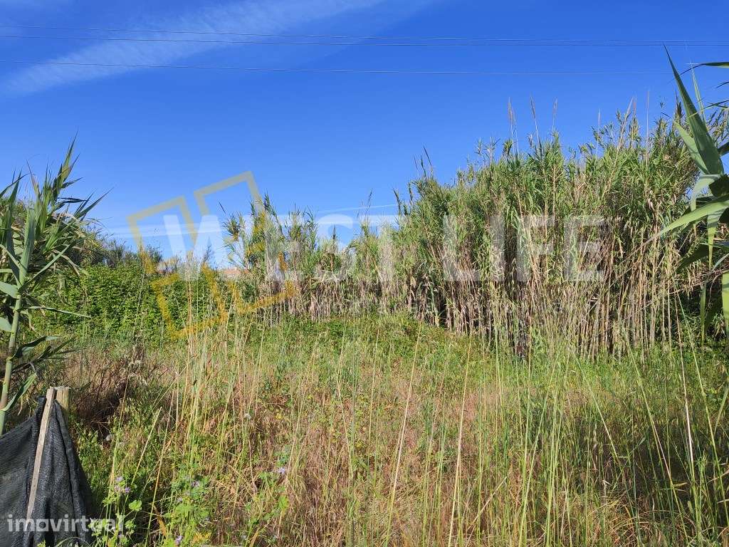 Terreno Rustico - Agrícola de 2560m2 - localização harmoniosa e boa... - Grande imagem: 5/15