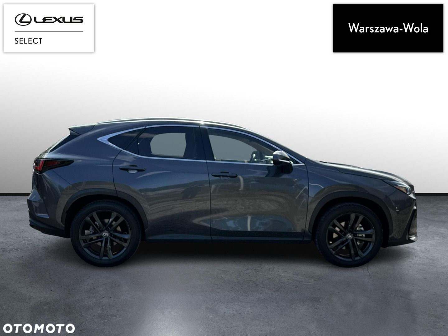 Lexus NX - 8