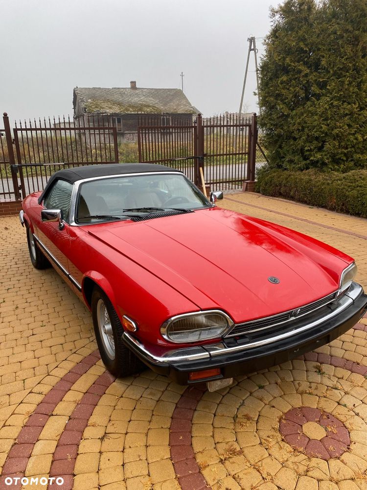 Jaguar XJS - 7