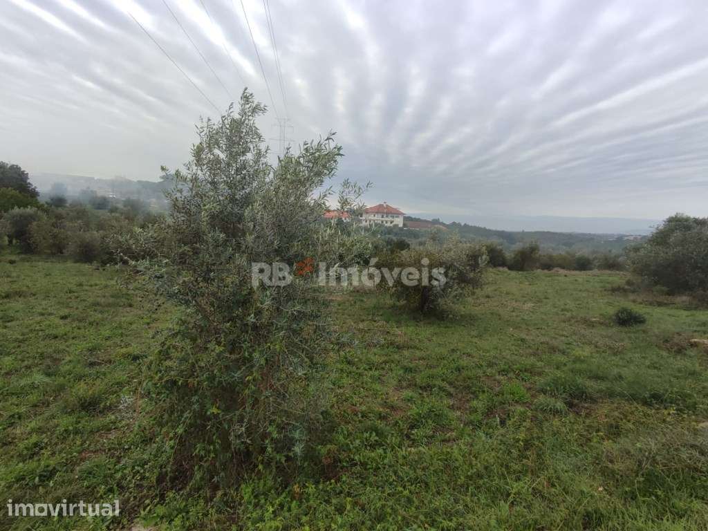 Terreno com 6720m² - Casais, Tomar - Grande imagem: 2/16