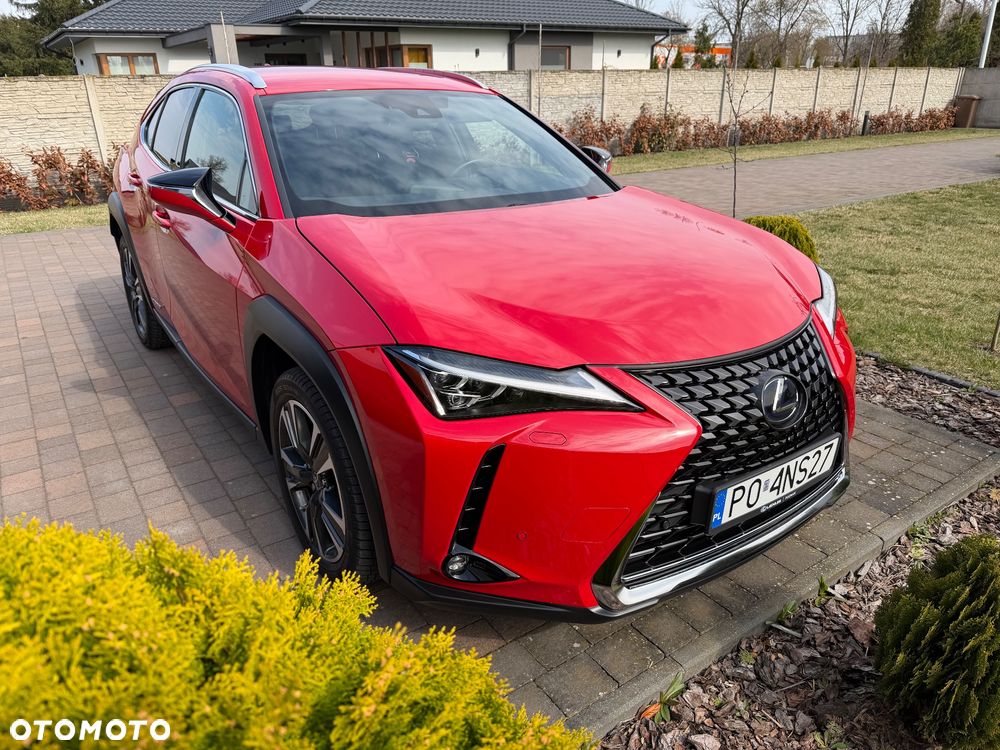 Lexus UX 250h Prestige 2WD - 2