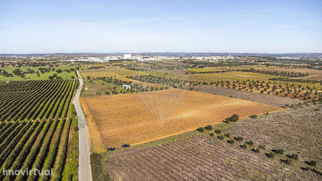 Terreno  para venda - Grande imagem: 3/50