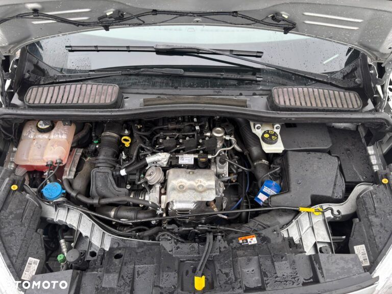Ford C-MAX 1.0 EcoBoost Start-Stopp-System Business Edition - 21