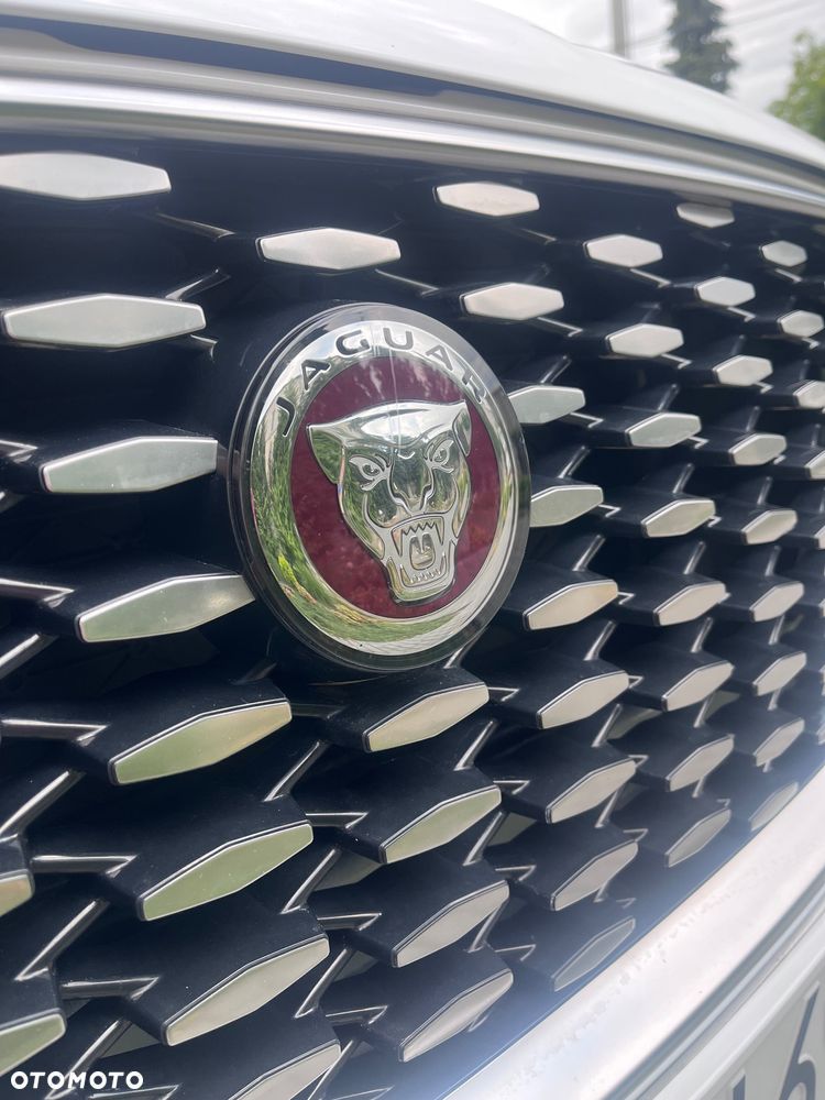 Jaguar F-Pace P250 AWD R-Dynamic S - 17