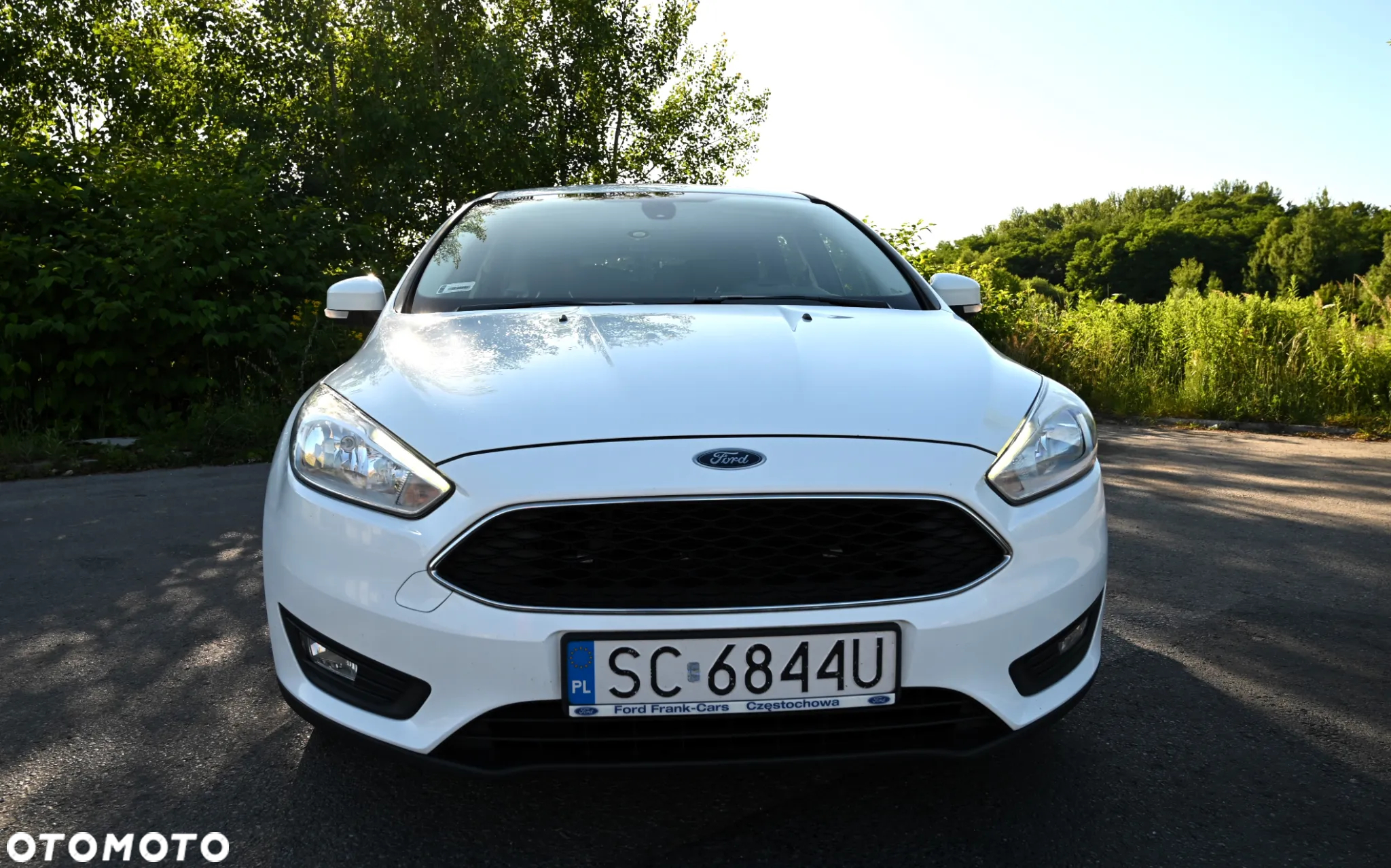 Ford Focus - 6