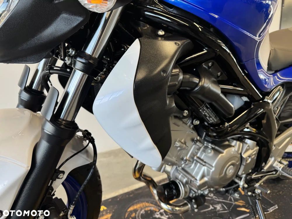 Suzuki Gladius - 19