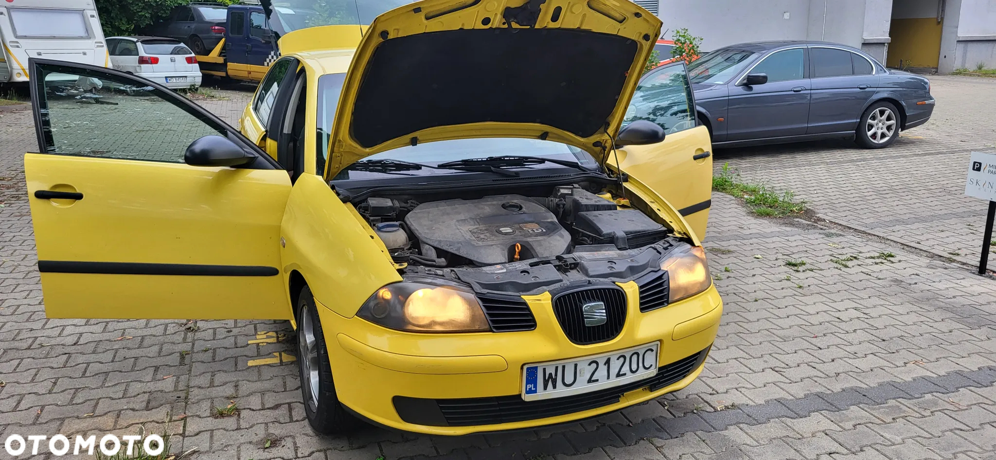 Seat Ibiza 1.9 TDI Stella - 27