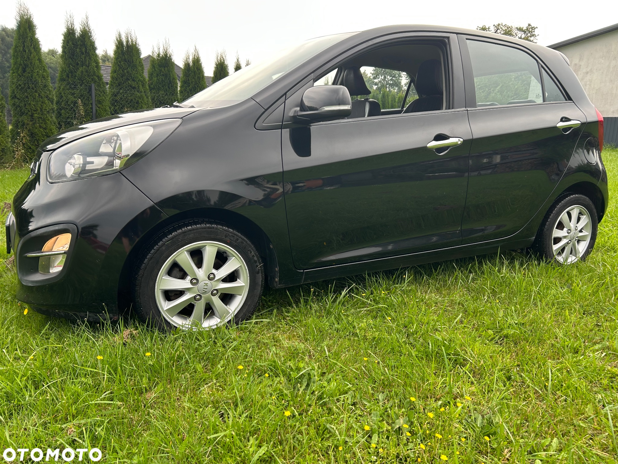 Kia Picanto 1.2 Automatik Platinum Edition - 7