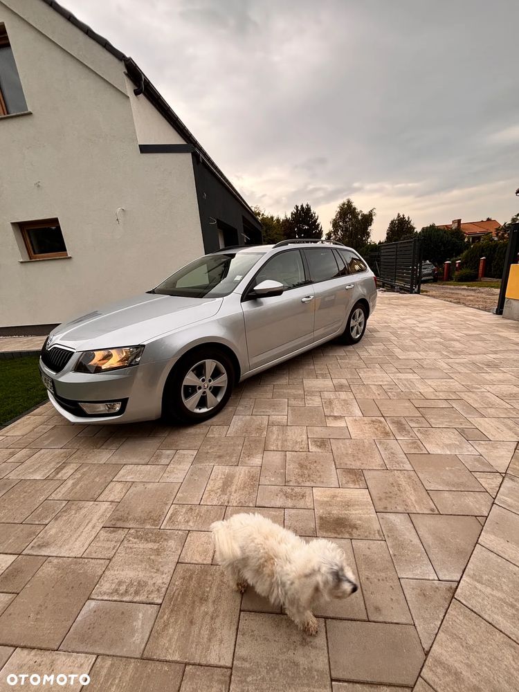 Skoda Octavia 1.6 TDI 4x4 Edition - 17