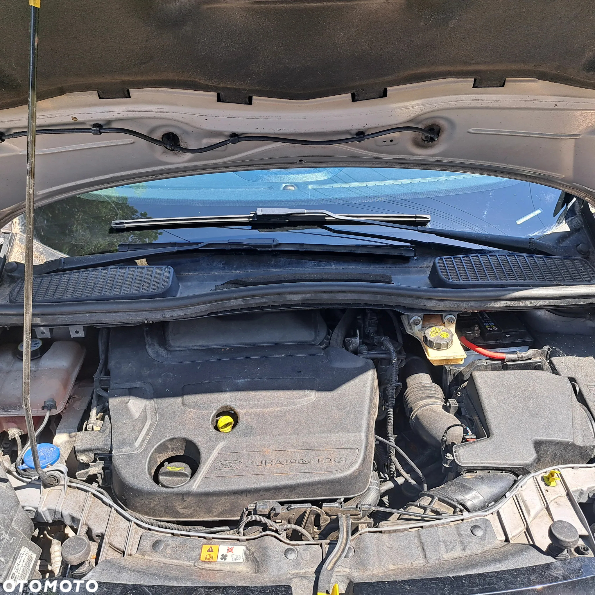 Ford C-MAX - 11