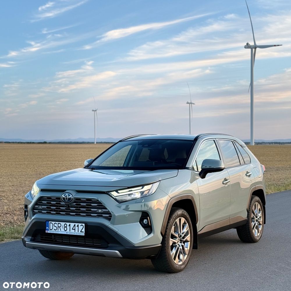 Toyota RAV4 2.5 Hybrid Executive 4x2 - 3
